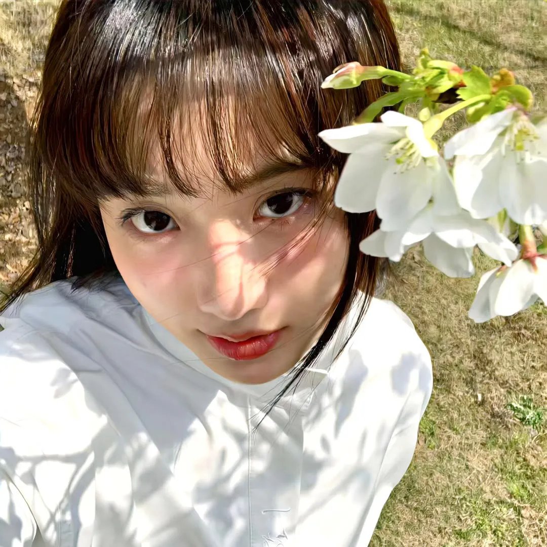 凡妮莎海辛第五季 海报